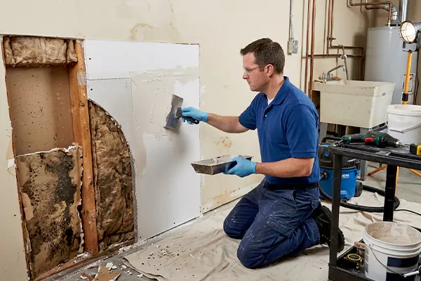 Mold and Drywall Repair West Jordan