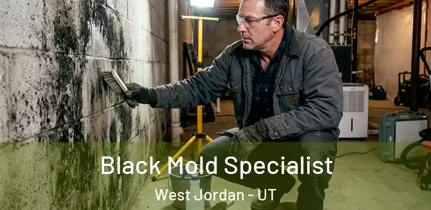 Black Mold Specialist West Jordan - UT