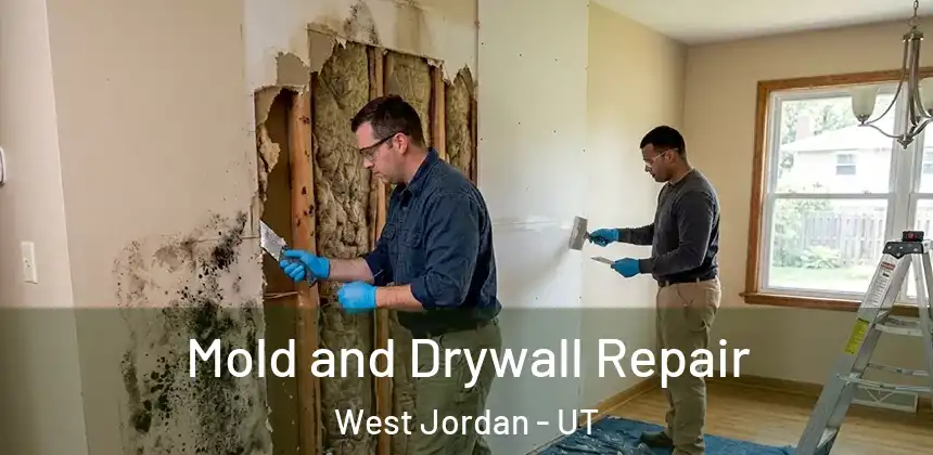 Mold and Drywall Repair West Jordan - UT