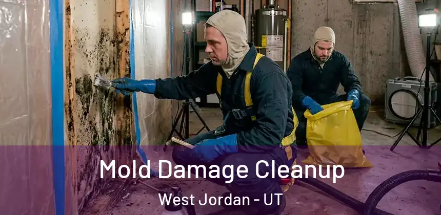  Mold Damage Cleanup West Jordan - UT