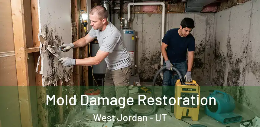 Mold Damage Restoration West Jordan - UT