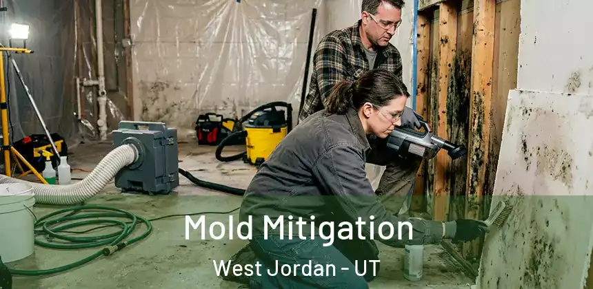  Mold Mitigation West Jordan - UT