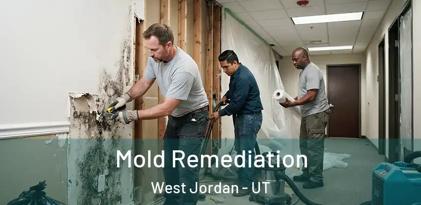 Mold Remediation West Jordan - UT