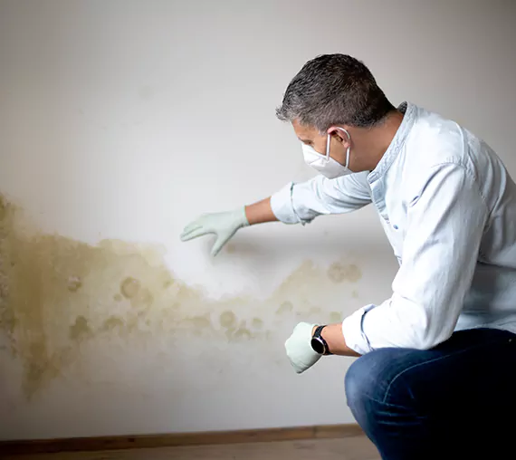 Mold Removal Service in West Jordan, UT
